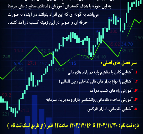 دوره آموزشی بازارهای مالی و کسب درآمد دلاری