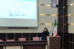 برنامه ریزی سفارشات و کنترل موجودی